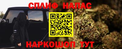 шишки Тулун