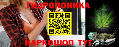 шишки Тулун