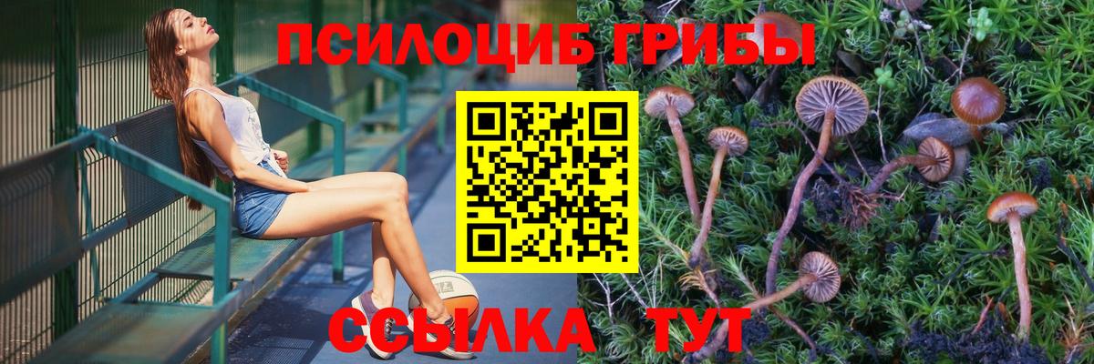 купить  цена  Галлюциногенные грибы MAGIC MUSHROOMS  Вход с VPN  Новороссийск 